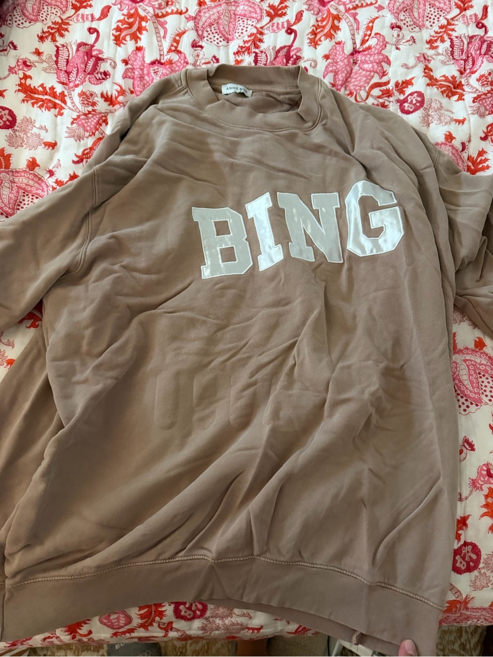 Anine Bing Taupe 'BING' Logo Sweatshirt with White Appliqué